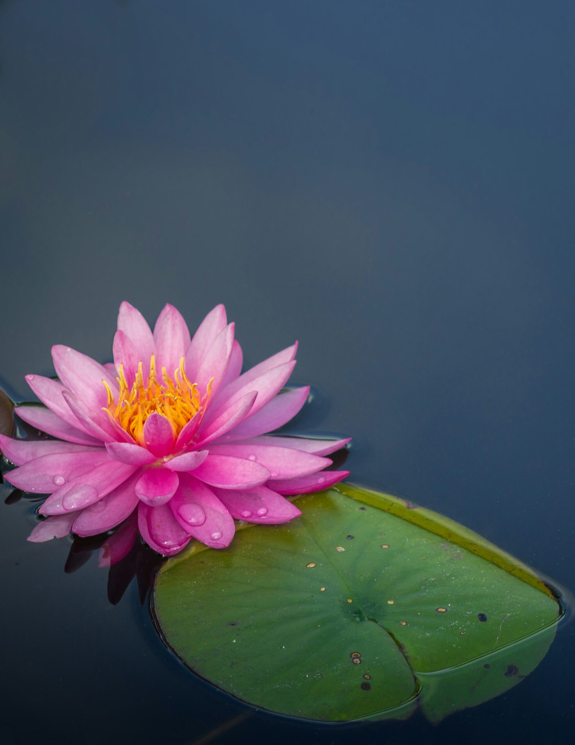 Photo by Alfred Schrock on Unsplash